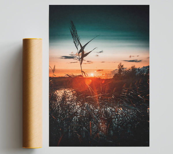 Orange Sunset Reeds