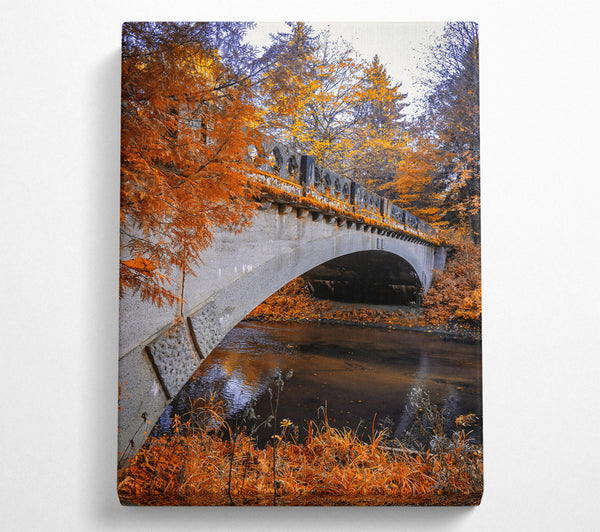 Orange Bridge Over Creek