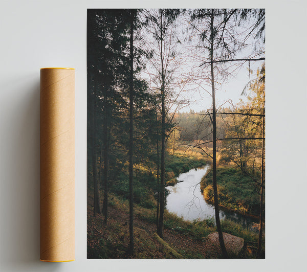 Golden River Through Trees