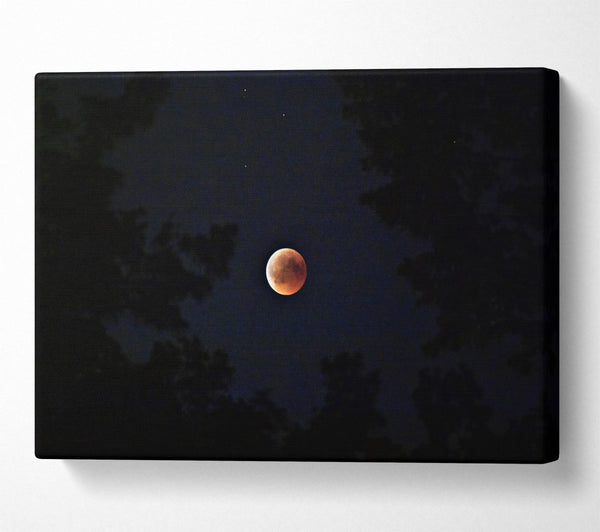 Crimson Lunar Eclipse