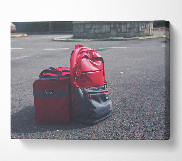 Red Bags On Asphalt