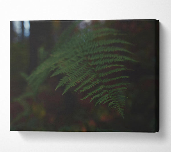 Emerald Fern Whisper