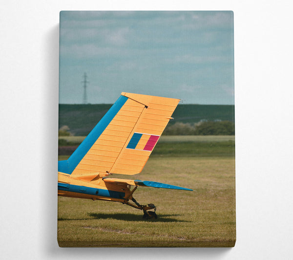 Yellow Plane Tail