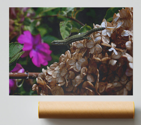 Brown Flower Lizard