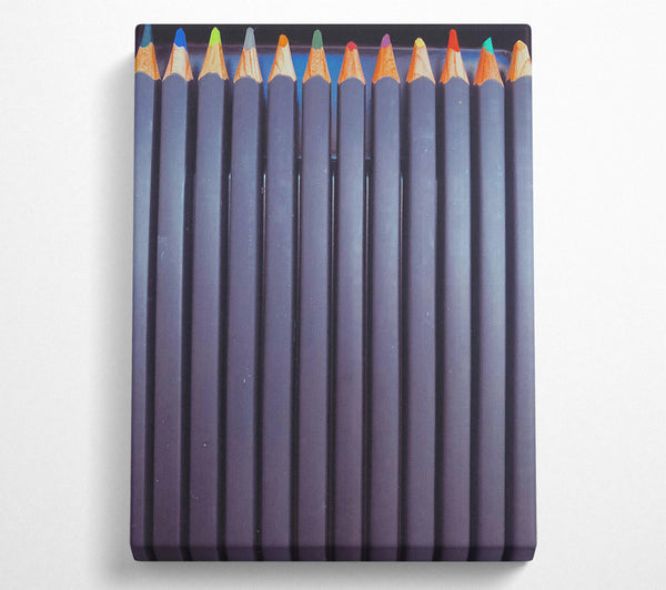 Purple Pencil Stripes