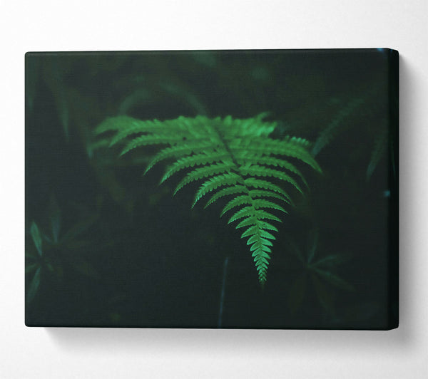 Emerald Green Fern