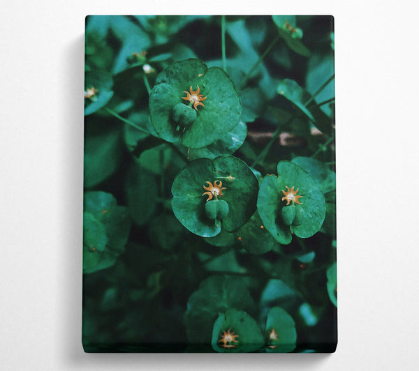 Emerald Green Blooms