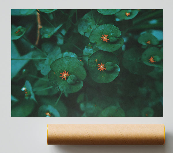 Emerald Blooms Of Summer