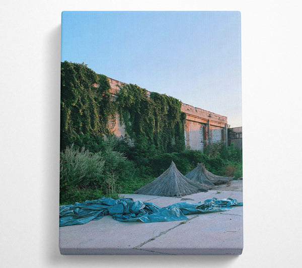 Blue Tarp And Vines