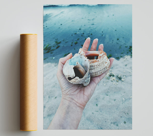 Blue Seashells On Sand