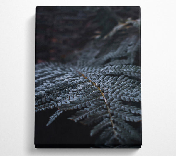 Dark Green Fern Frond