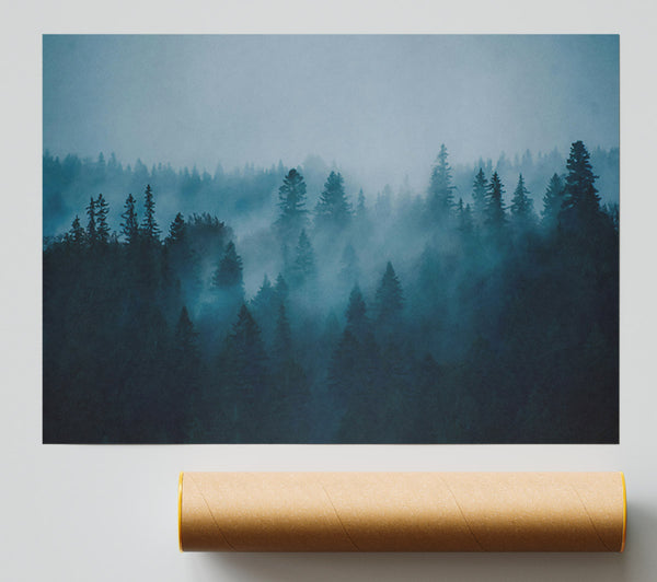 Blue Forest Fog