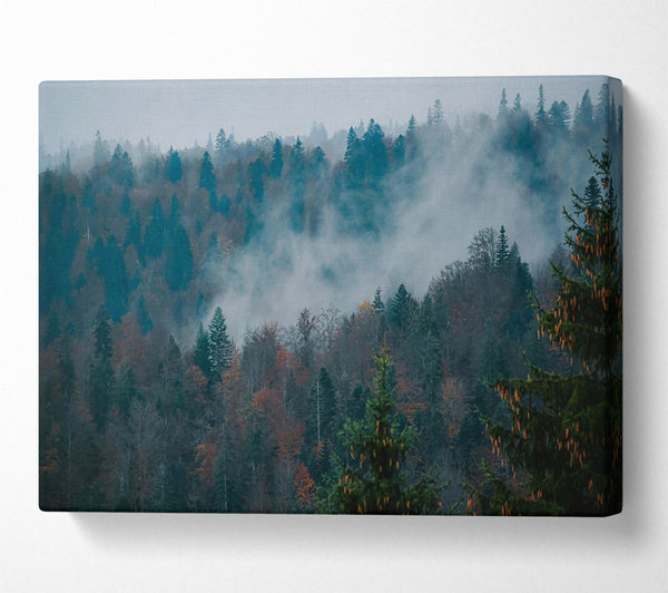 Misty Teal Forest