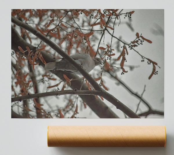 Brown Branch Bird