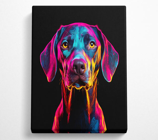 Neon Dog