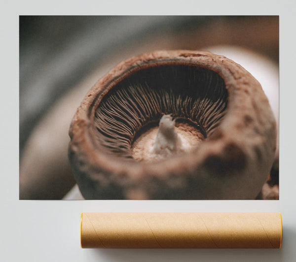 Brown Mushroom Gills