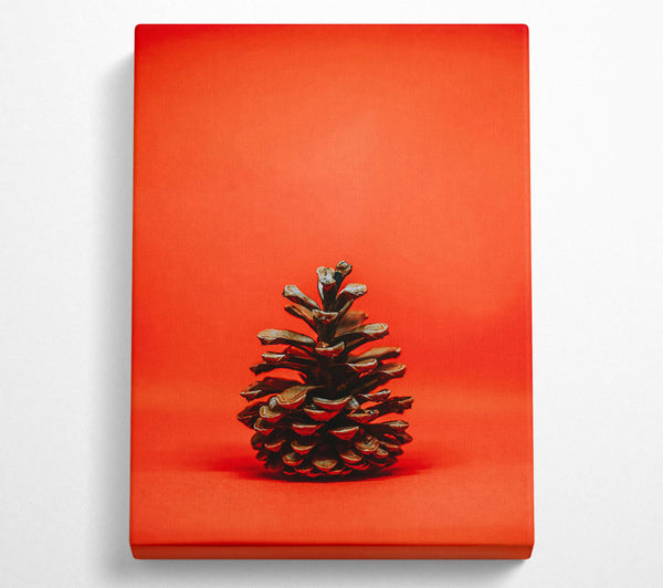 Red Background Pine Cone