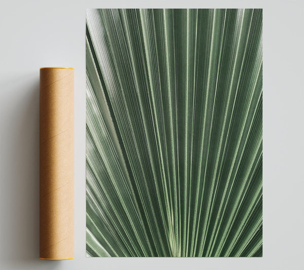 Emerald Palm Fan