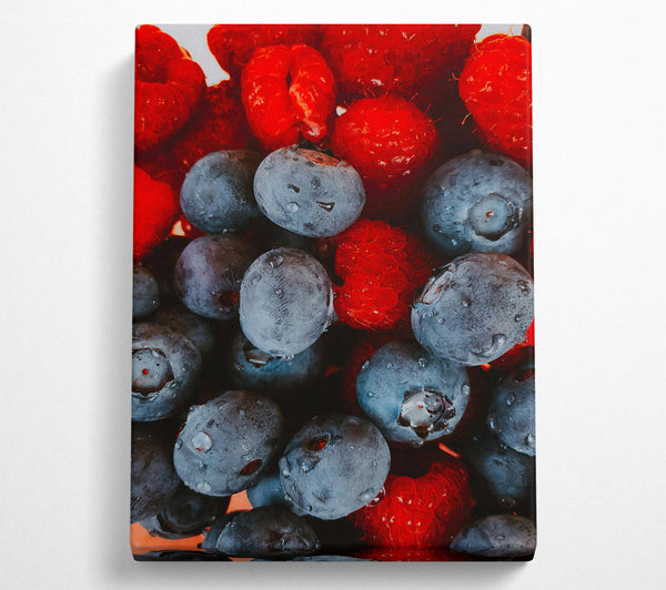 Crimson And Blue Berries