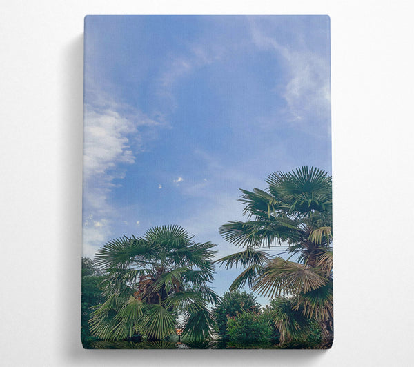 Azure Sky Palms