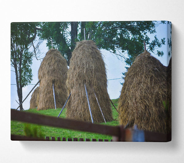 Golden Haystacks In Green