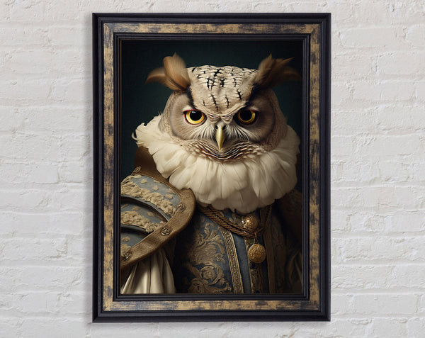 Owl Renaissance