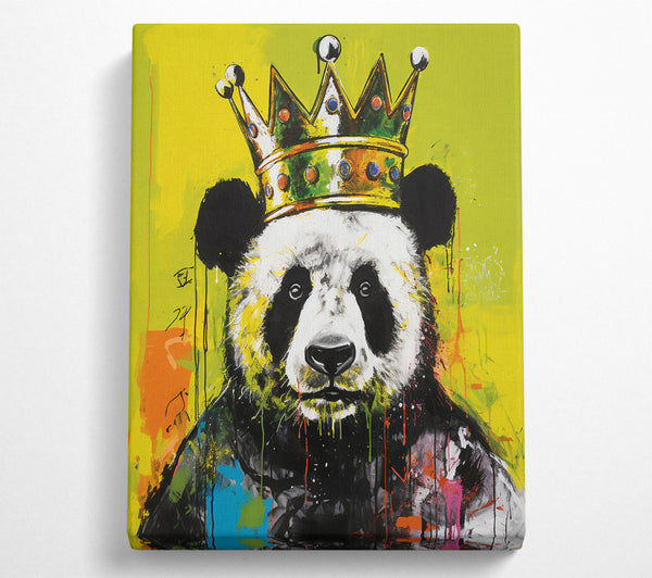 Panda Crown Urban