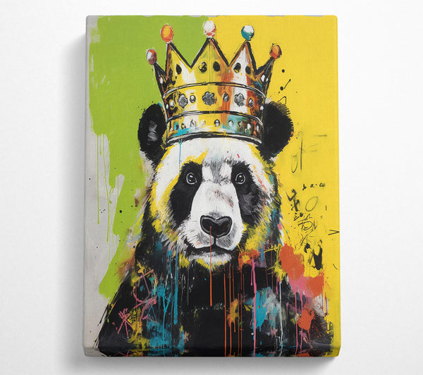 Panda King Urban