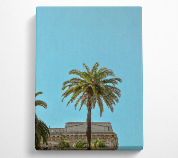 Blue Sky Palm Tree