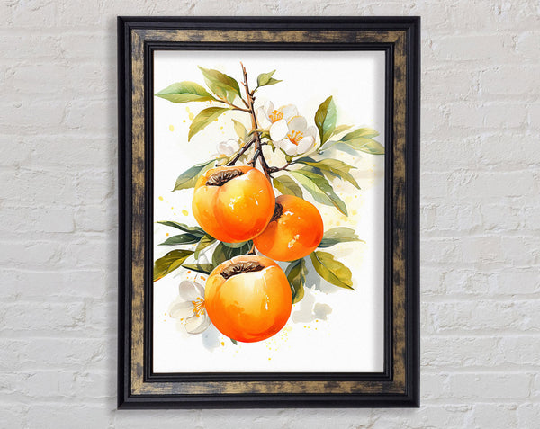 Persimmon Watercolour