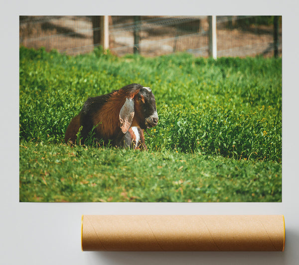 Green Pasture Goat