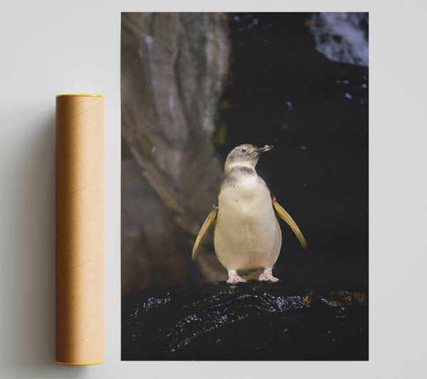 Pale Yellow Penguin