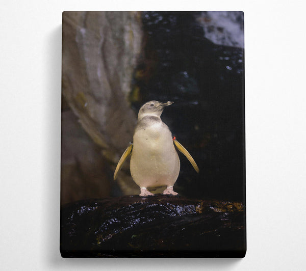 Pale Yellow Penguin