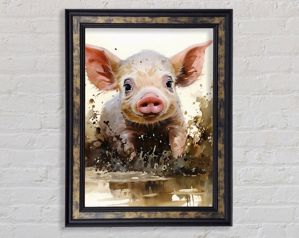 Pig In The Mud