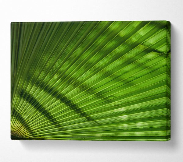 Emerald Palm Fronds