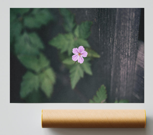 Pink Flower Fence