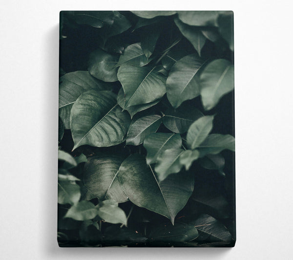 Emerald Jungle Leaves