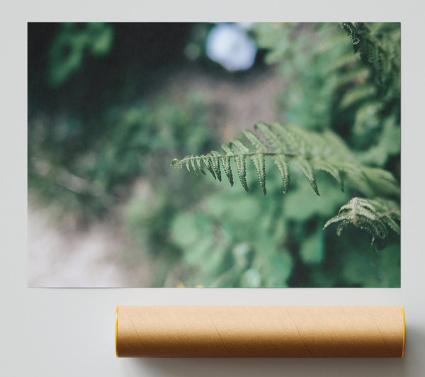 Emerald Fern Frond