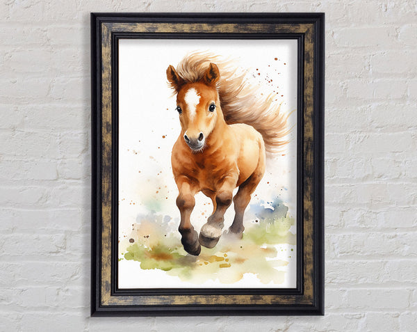 Pony Watercolour