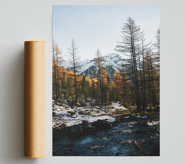 Blue Stream Through Pines