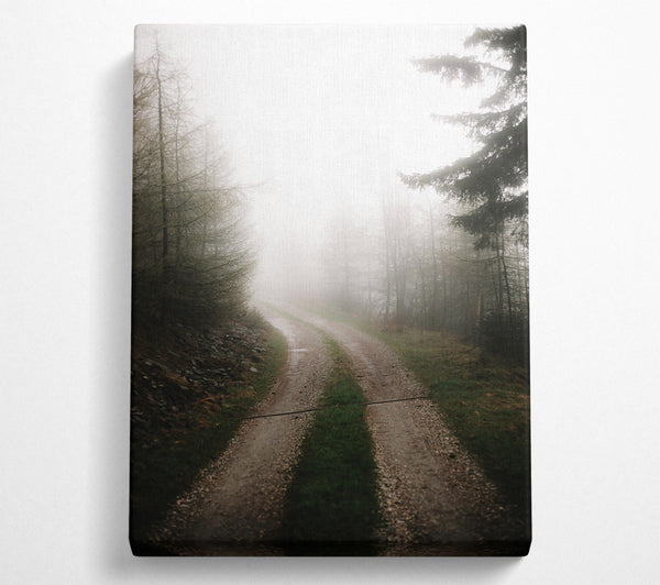 Grey Foggy Path