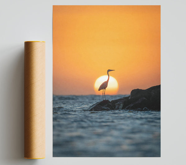 Orange Sunset Heron