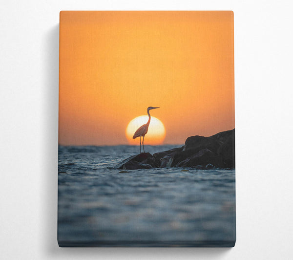 Orange Sunset Heron