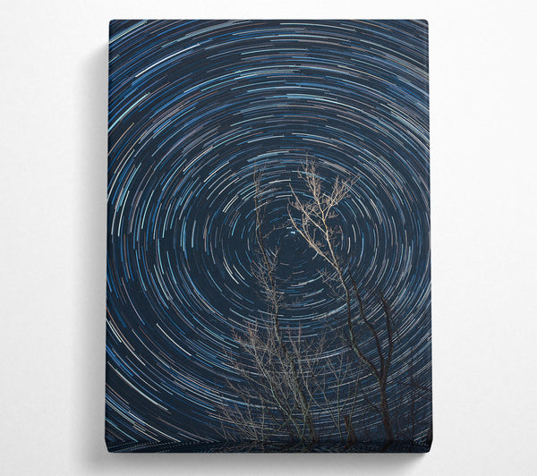 Blue Star Trails And Branches