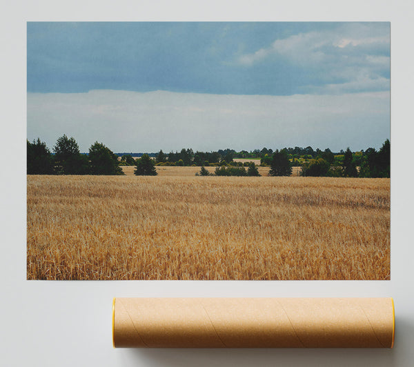 Golden Field Horizon