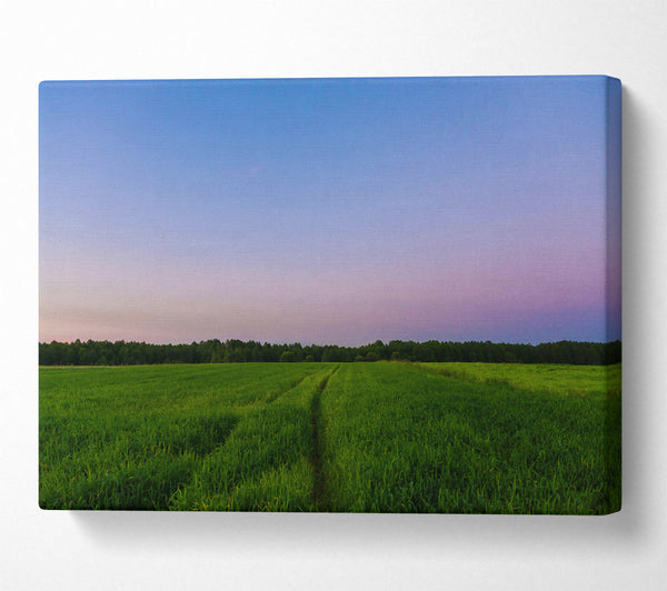 Purple Sky Field Path