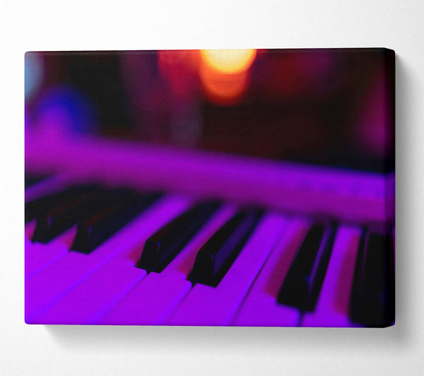 Purple Piano Keys