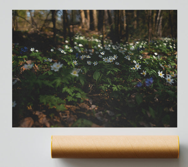 Green Woodland Blooms