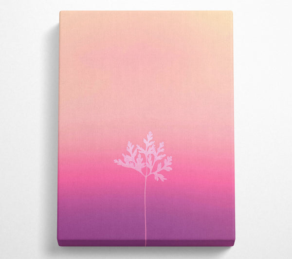 Pink Branch Silhouette