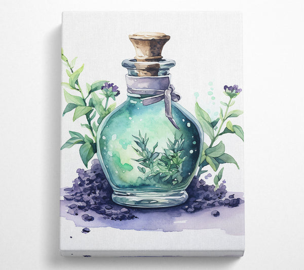 Sage Potion Watercolour